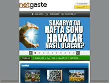 Tablet Screenshot of netgaste.com